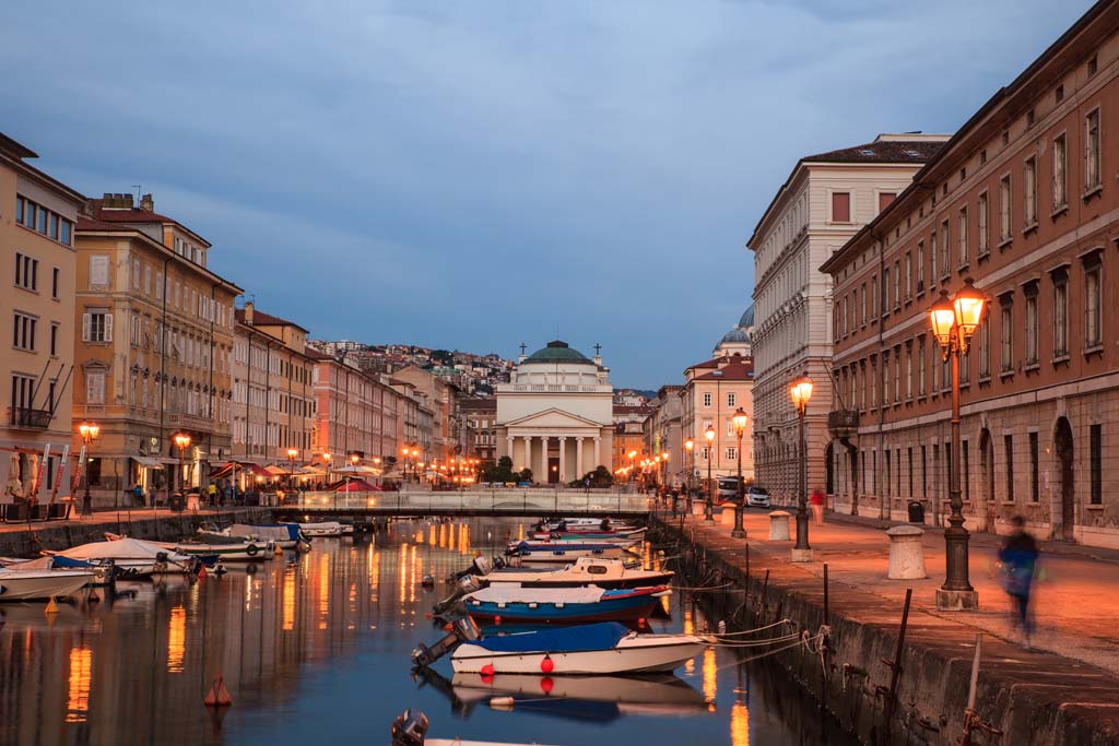 Steve Chan Speaker at Trieste, Italy; Trieste Next – European Science Forum